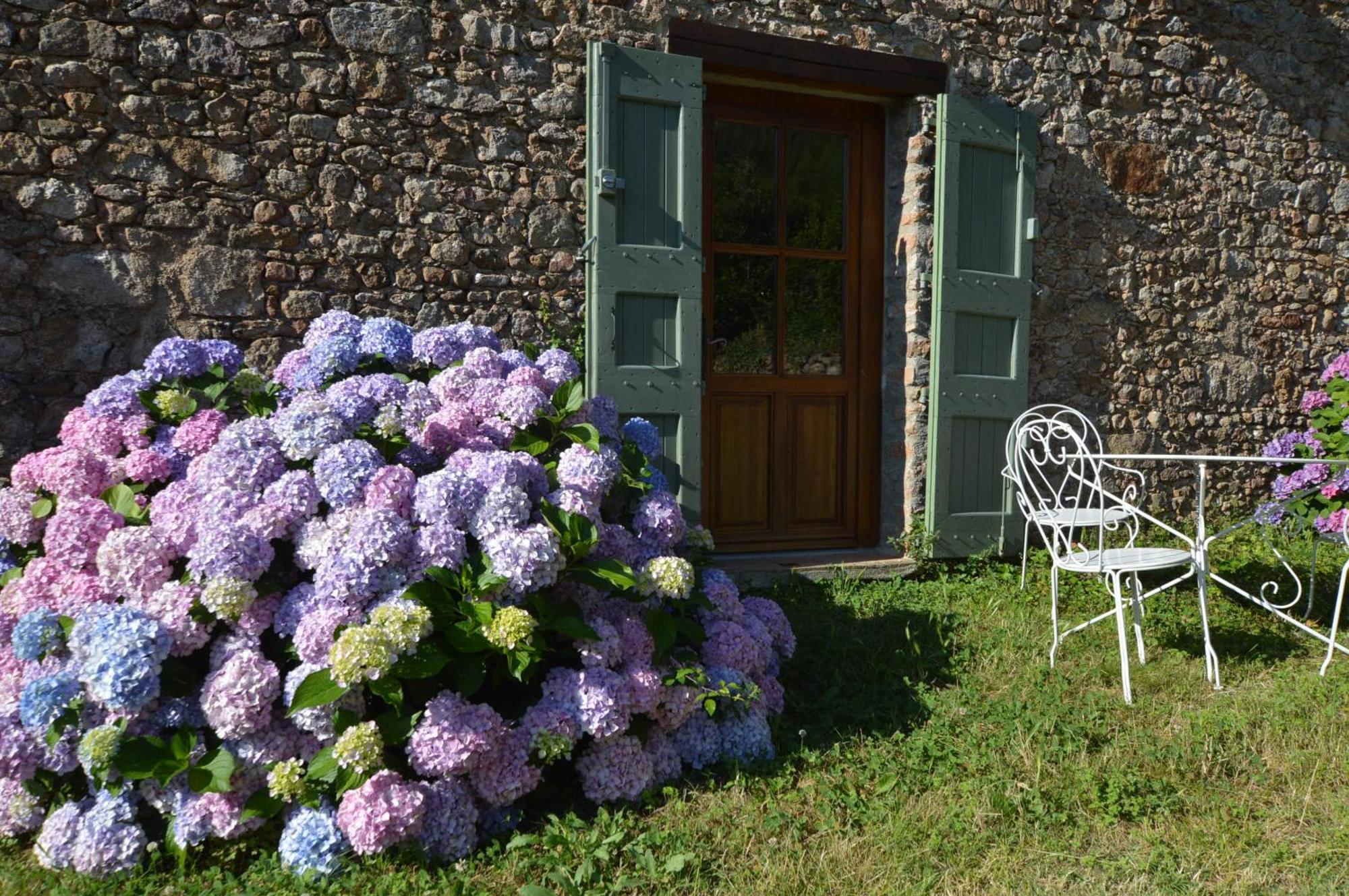 Mas Des Druilles Bed and Breakfast Generargues Buitenkant foto