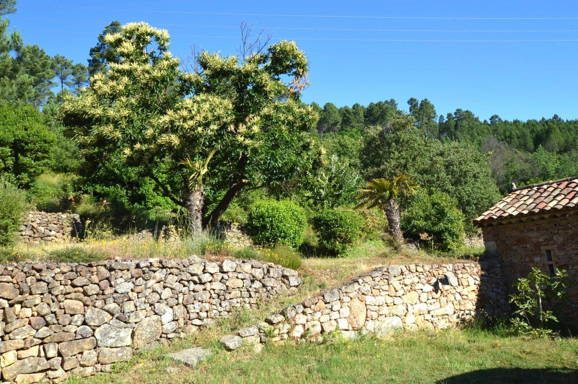 Mas Des Druilles Bed and Breakfast Generargues Buitenkant foto